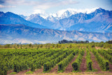 Trivet Tasting Club Monday 21st September : Argentina