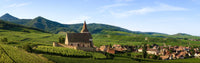 Trivet Tasting Club September 2025: Wine and Food of Alsace